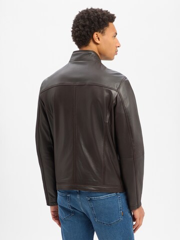 bugatti Tussenjas in Bruin