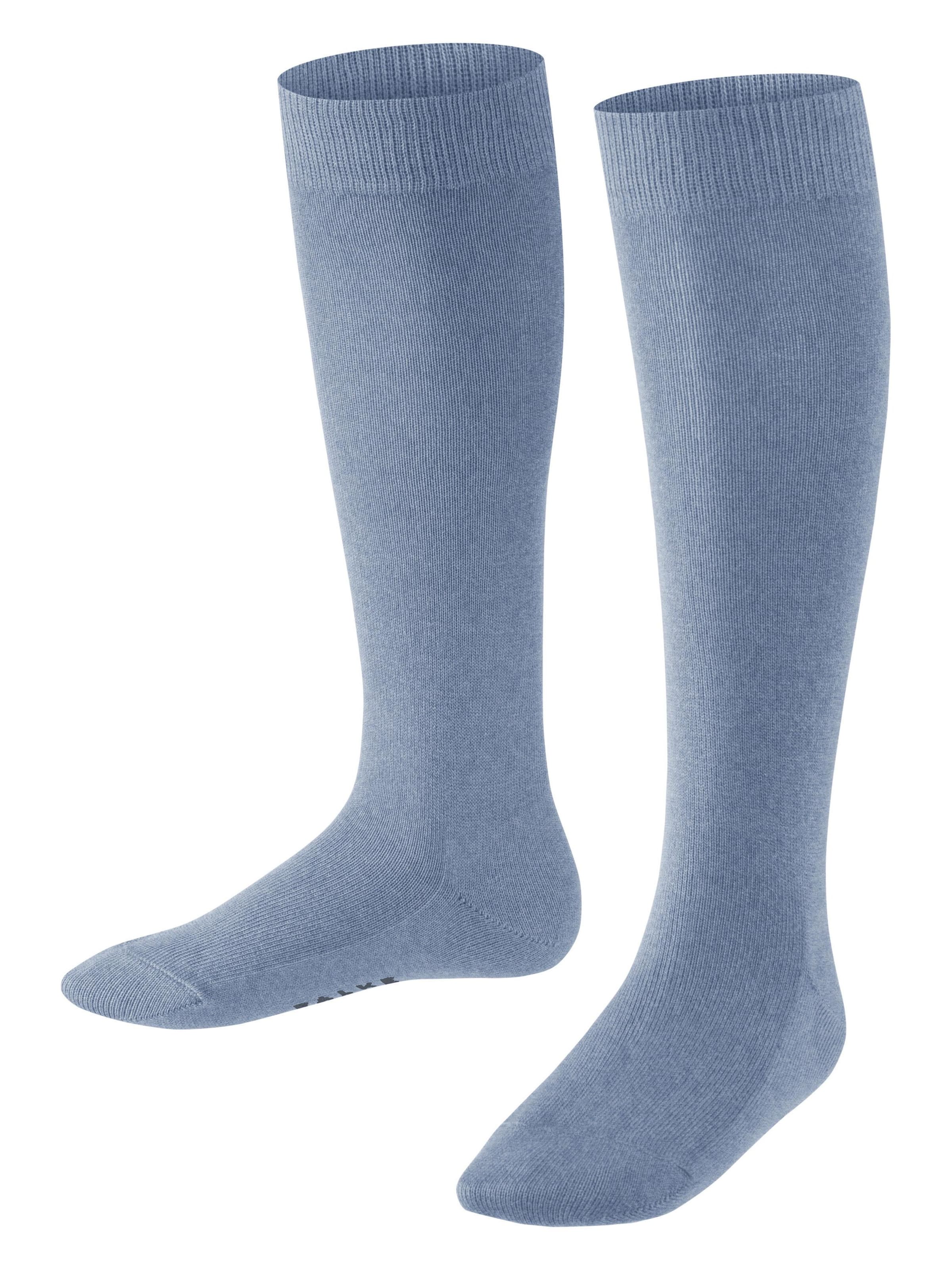 FALKE Socks 'Family' in Blue: front
