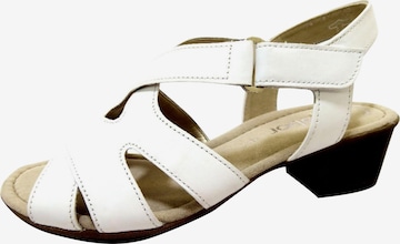 GABOR Sandals in White: front