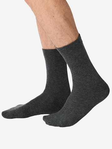 Chaussettes ' 18er-Pack Ohne Gummi ' Nur Die en gris