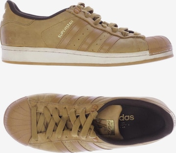 ADIDAS ORIGINALS Sneakers & Trainers in 40,5 in Brown: front