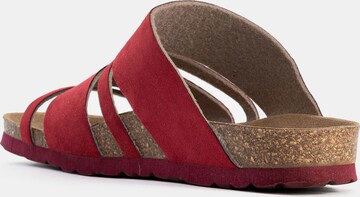 Bayton Mule 'Leiria' in Red