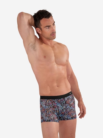Boxers ' Biscayne ' HOM en bleu
