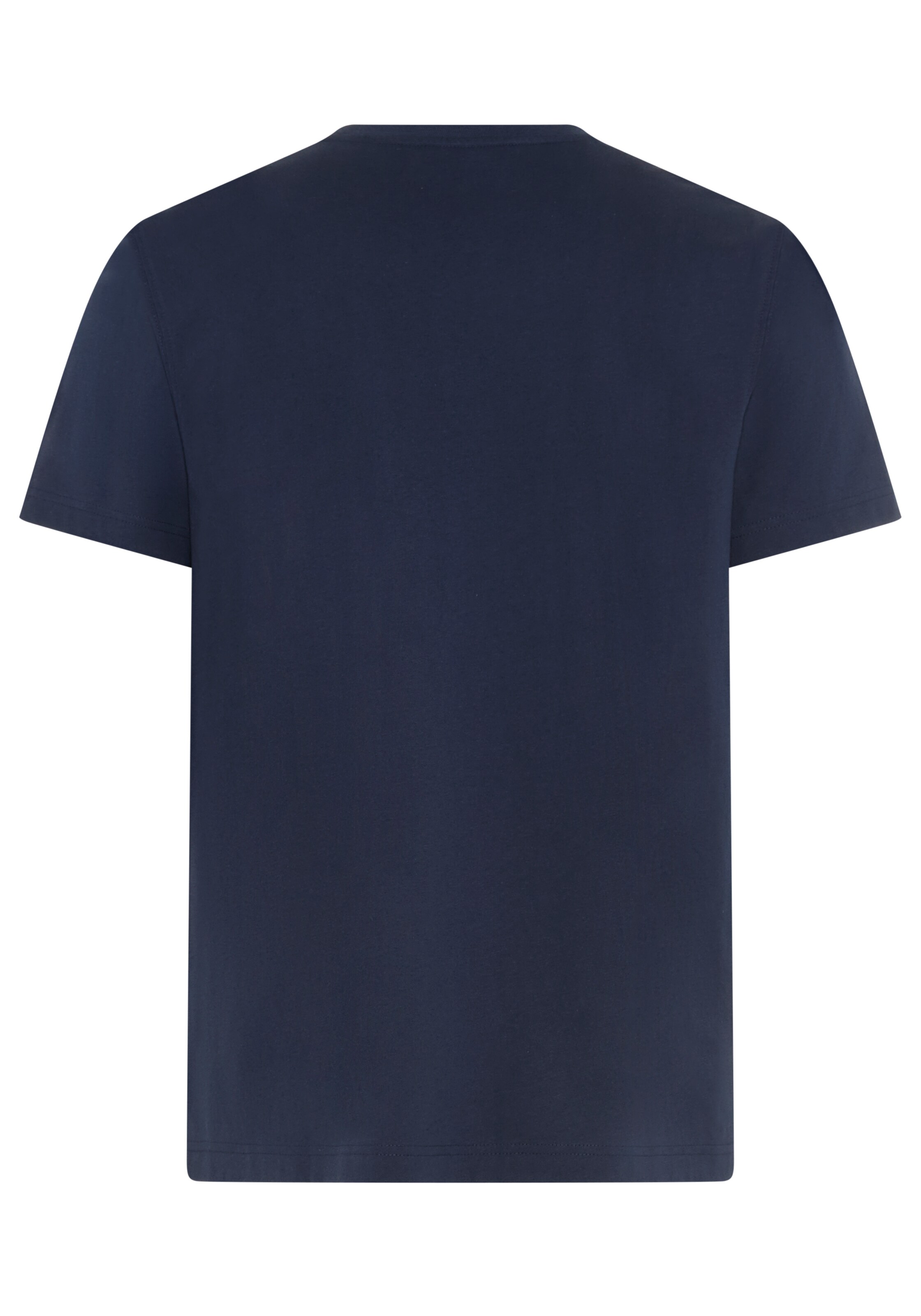 DELMAO T-Shirt in Blau