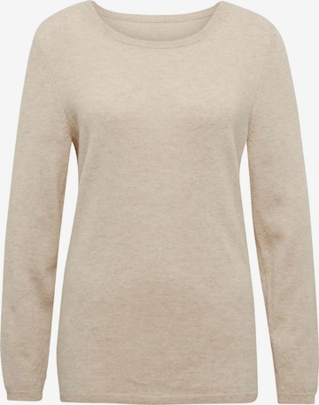 Pull-over Goldner en marron : devant