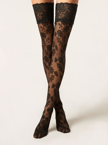 CALZEDONIA Over the Knee Socks in Black: front