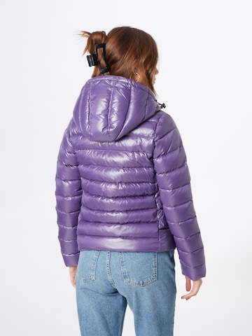 PYRENEX Winter jacket in Purple