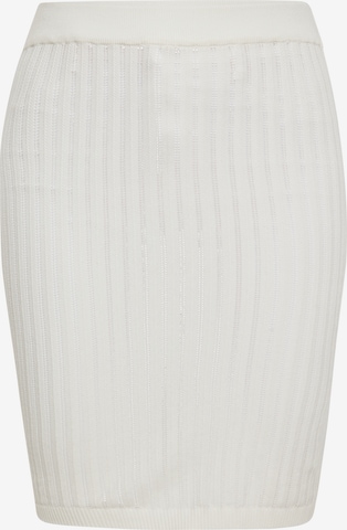 IZIA Skirt in White: front