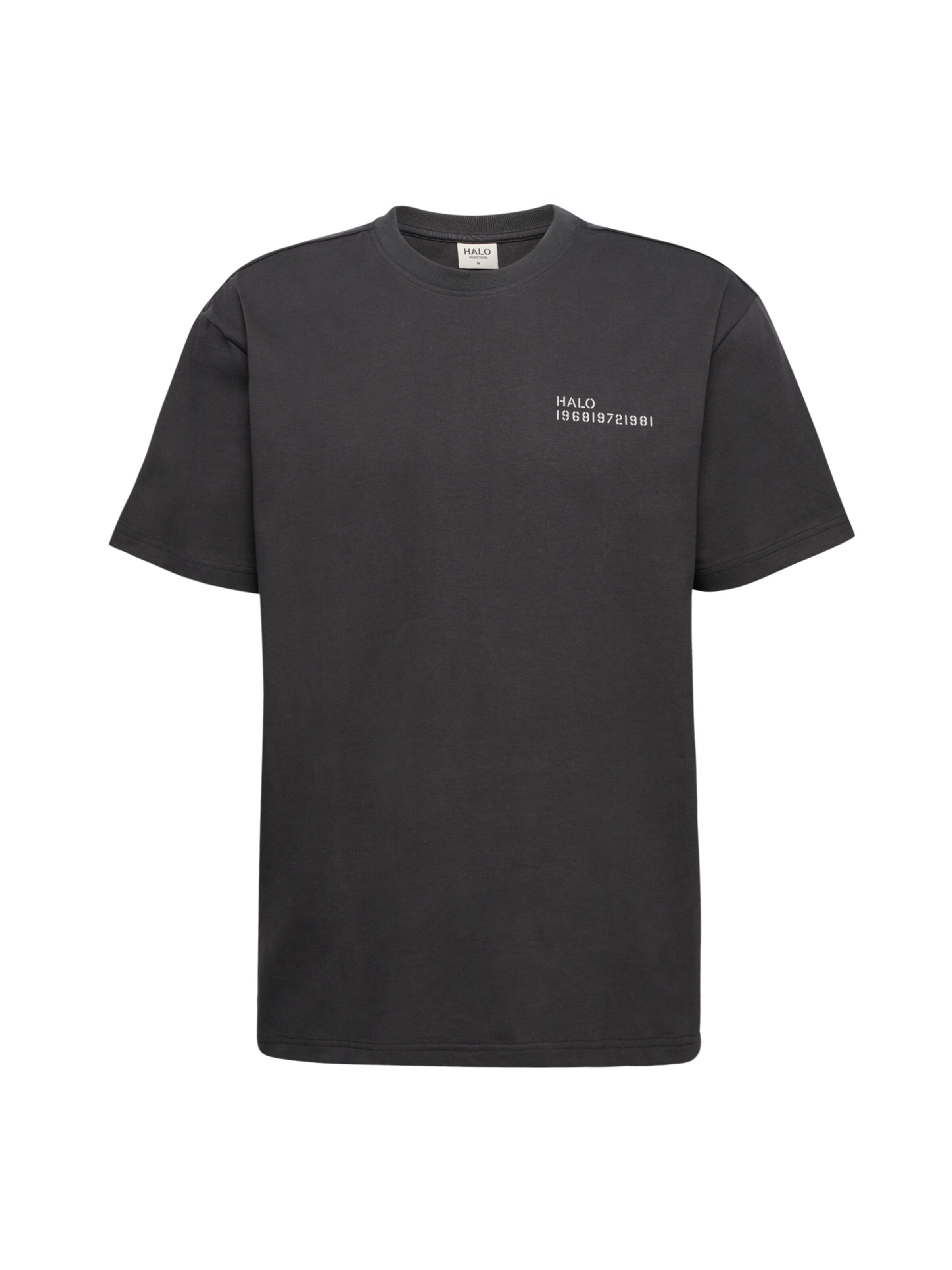 HALO Shirt in Grijs: voorkant