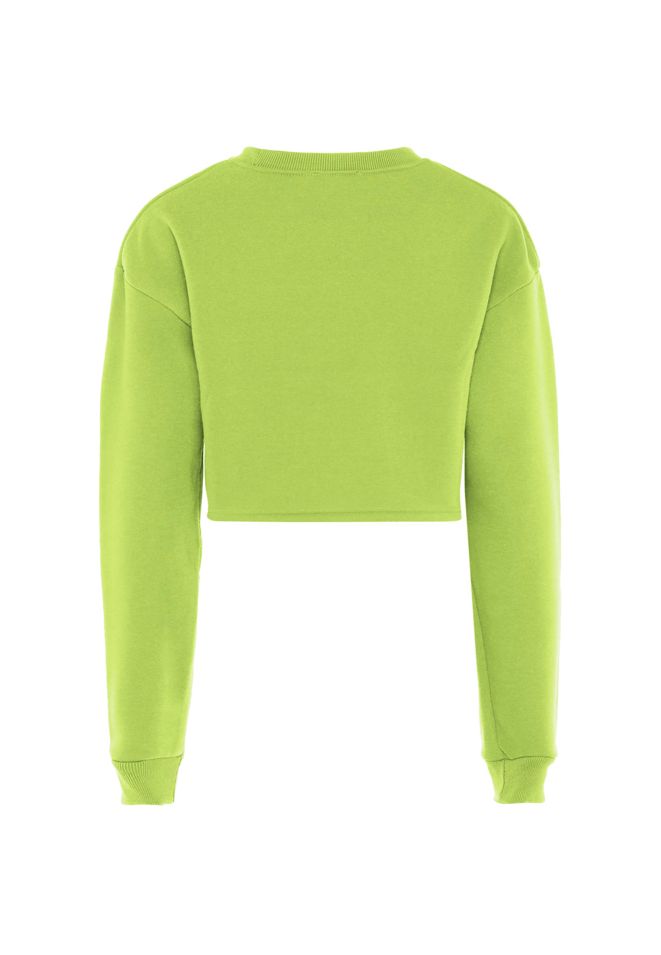 Exide Sweatshirt in Groen