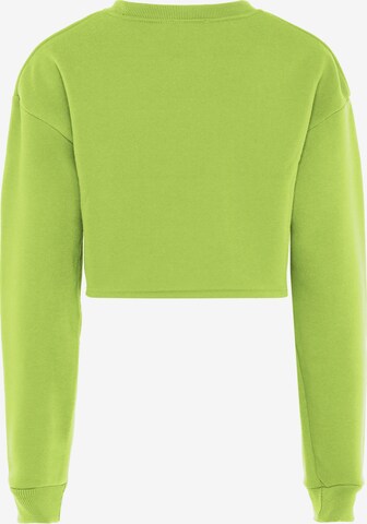 NALLY Sweatshirt in Grün