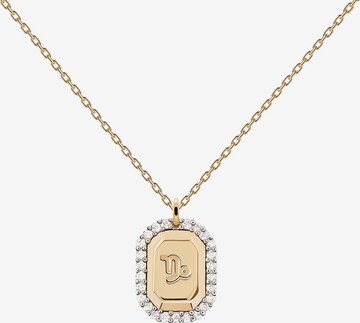 P D PAOLA Necklace in Gold: front