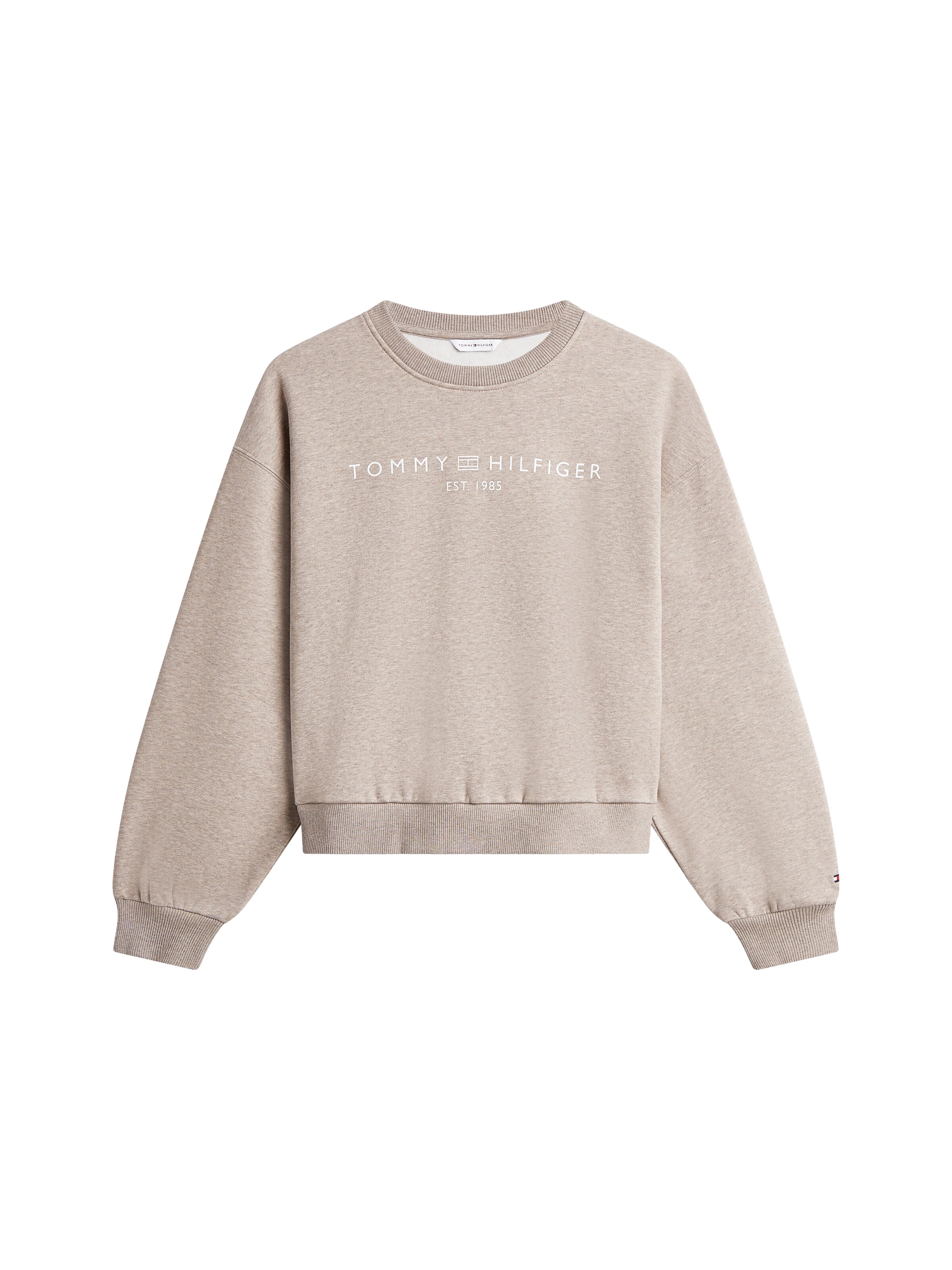 TOMMY HILFIGER Sweatshirt in Beige: front