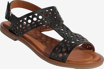 Desa - Sandalias 'Sandalen' en negro: frente