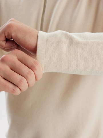 Dxnmxrk Pullover 'DXGodfred' in Beige