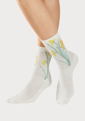 Chaussettes LASCANA en beige