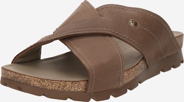 PANAMA JACK Mule 'Salman' in Grey: front