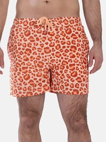 Shorts de bain Frozen Cape en mélange de couleurs : devant