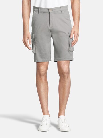 AÉROPOSTALE Regular Shorts in Grau: predná strana