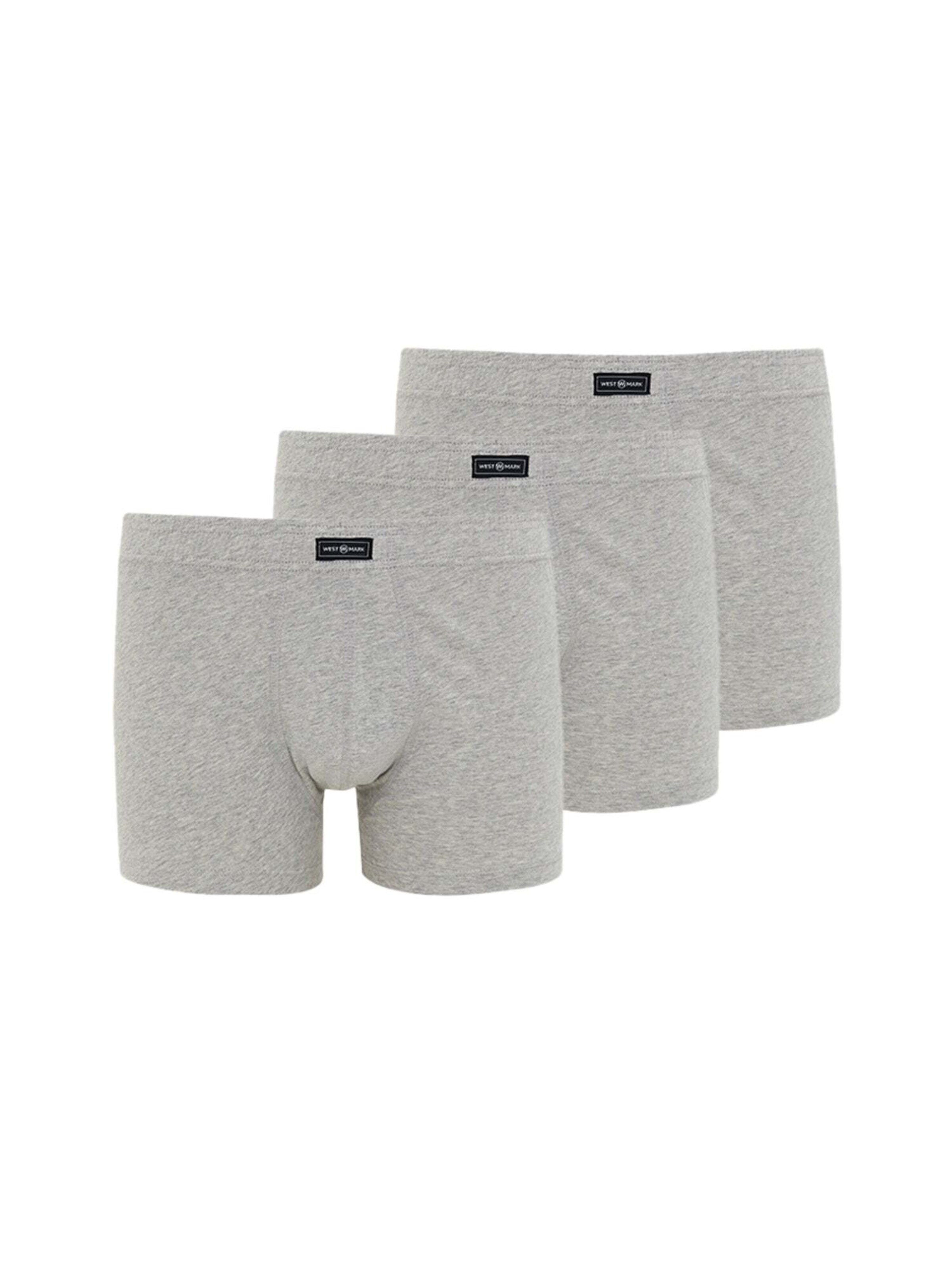 Boxer 'Arthur' di WESTMARK LONDON in grigio: frontale