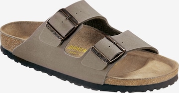 BIRKENSTOCK Sisäkengät ' Arizona ' värissä harmaa: etupuoli