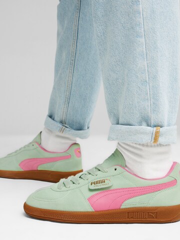 Baskets basses 'Palermo' PUMA en vert : devant