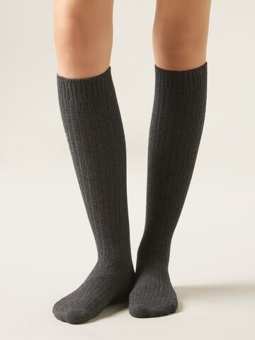 CALZEDONIA Knee High Socks in Grey: front