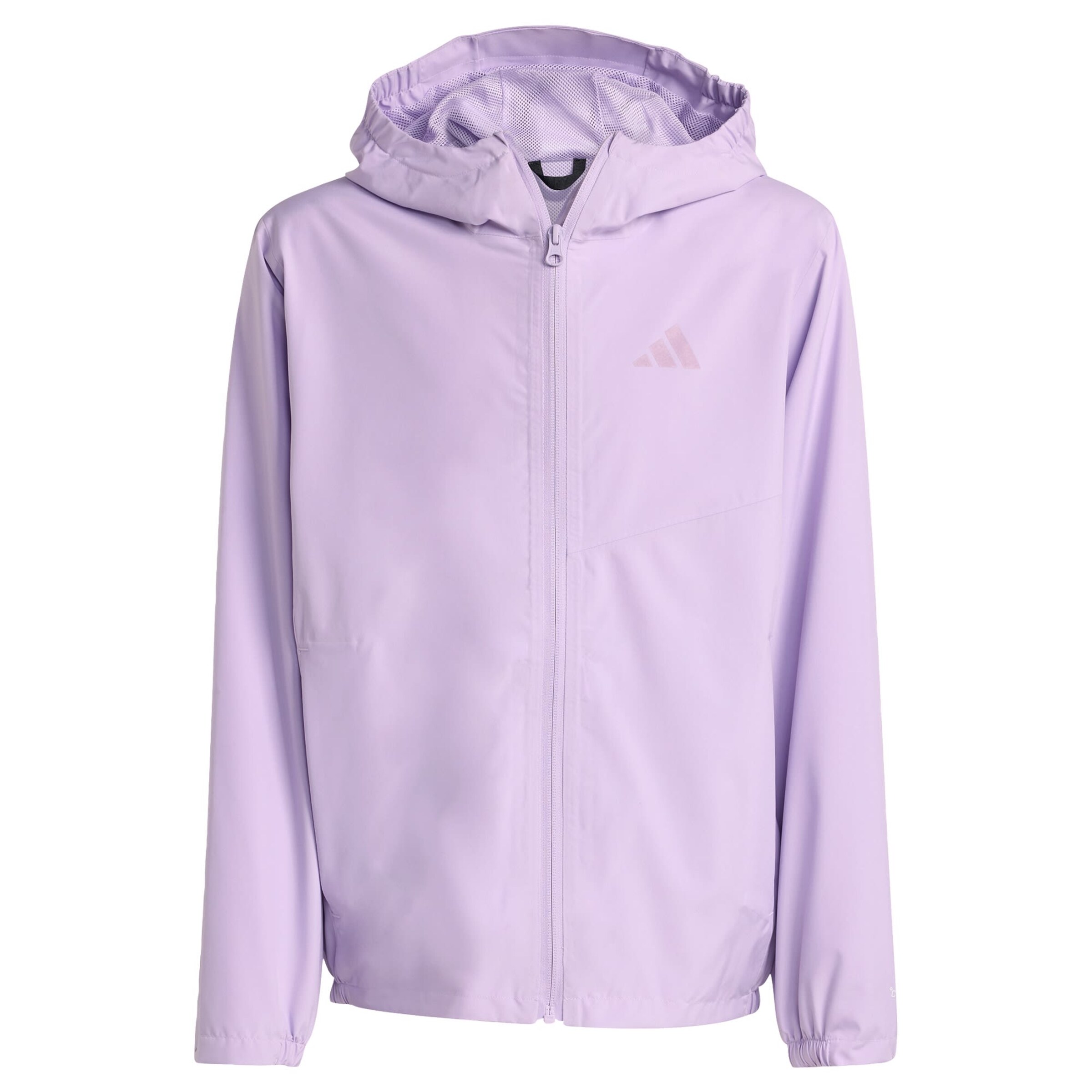 ADIDAS TERREX Outdoor jacket 'Multi' in Purple: front