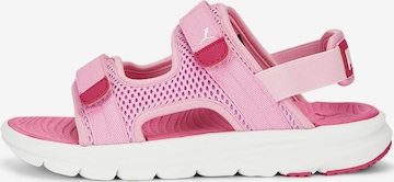 PUMA Sandals & Slippers 'Evolve' in Pink: front