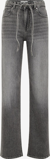 Džinsai iš WE Fashion, spalva – tamsiai pilka, Prekių apžvalga