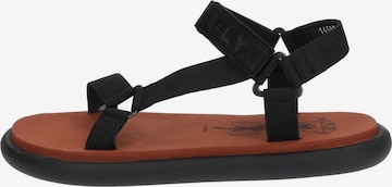 FLY LONDON Strap Sandals in Black