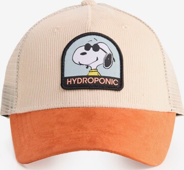 hydroponic - Gorra deportiva 'Hydroponic x Peanuts Cool Cap' en beige: frente
