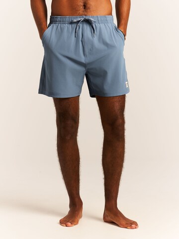 PROTEST Board Shorts 'PRTIgapo' in Blue: front