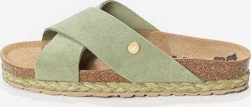 Zoccoletto 'Burgos' di Bayton in verde: frontale