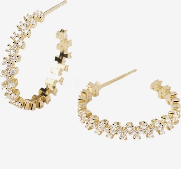 P D PAOLA Earrings in Gold