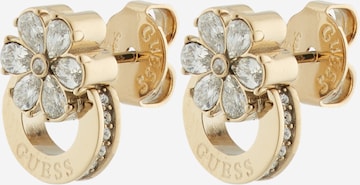 GUESS Earrings in Gold: front