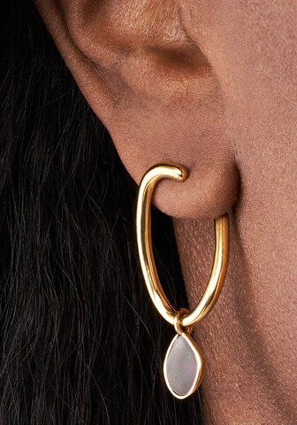 SKAGEN Earrings in Gold