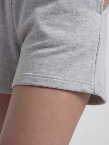 Antargo Regular Pants in Grey