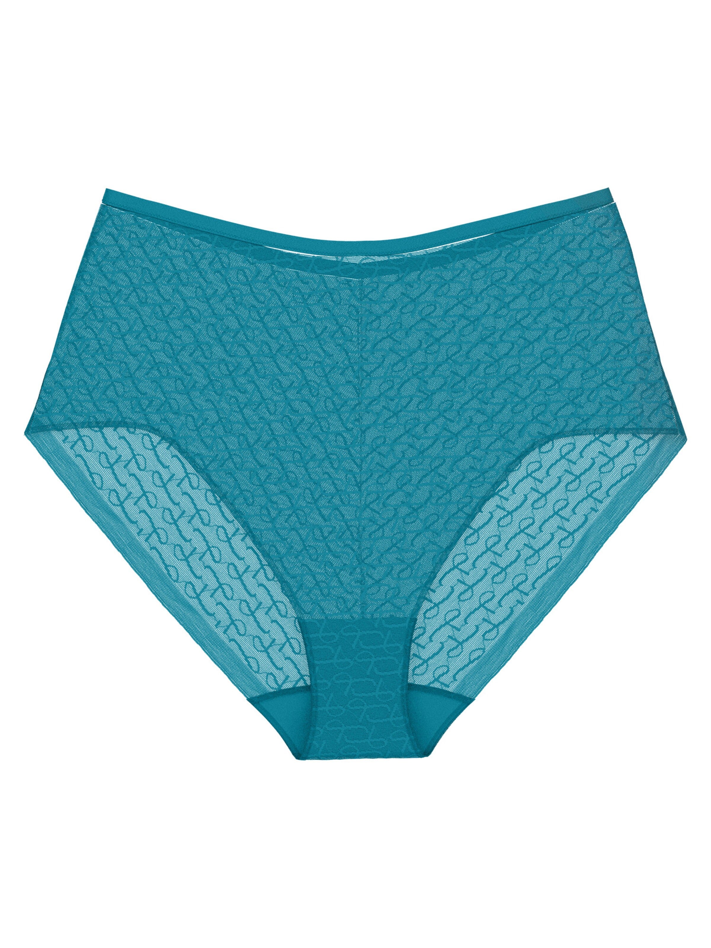 TRIUMPH Slip 'Signature Sheer'‌‌‌‌‌‌‌ in Blau: Vorderseite