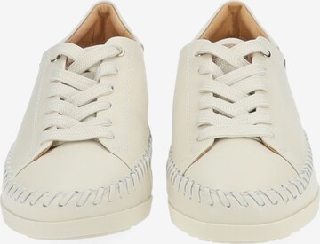 PIKOLINOS Lace-Up Shoes in Beige