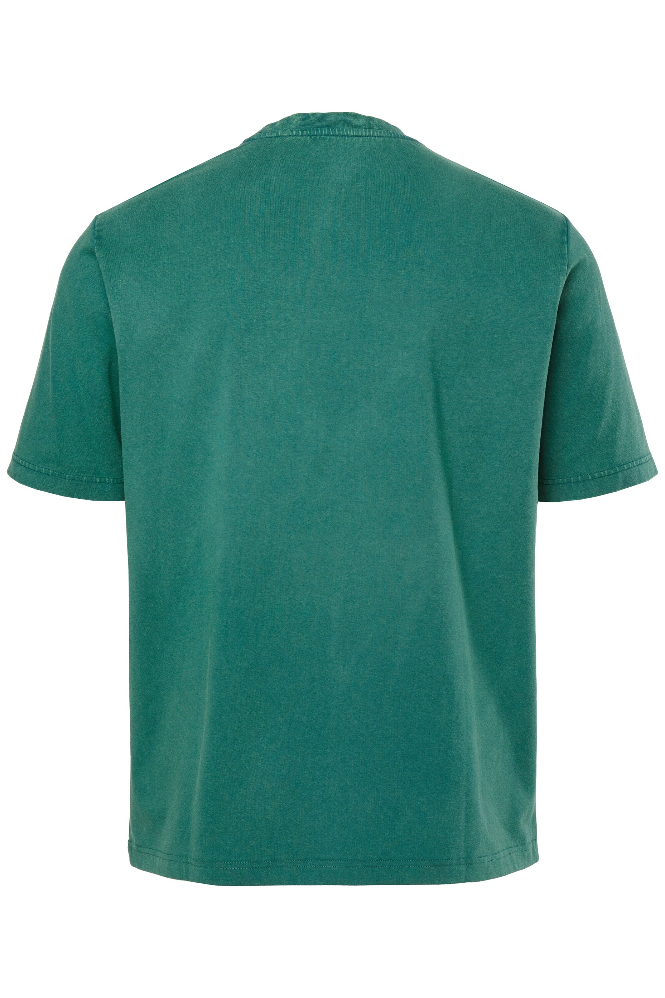 JAY-PI Shirt in Groen