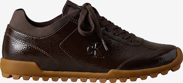 Baskets basses Calvin Klein en marron : devant