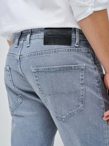 Salsa Jeans Regular Jeans in Grijs