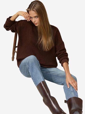 Hiccup Pullover in Braun