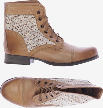 STEVE MADDEN Stiefelette 39 in Beige: predná strana