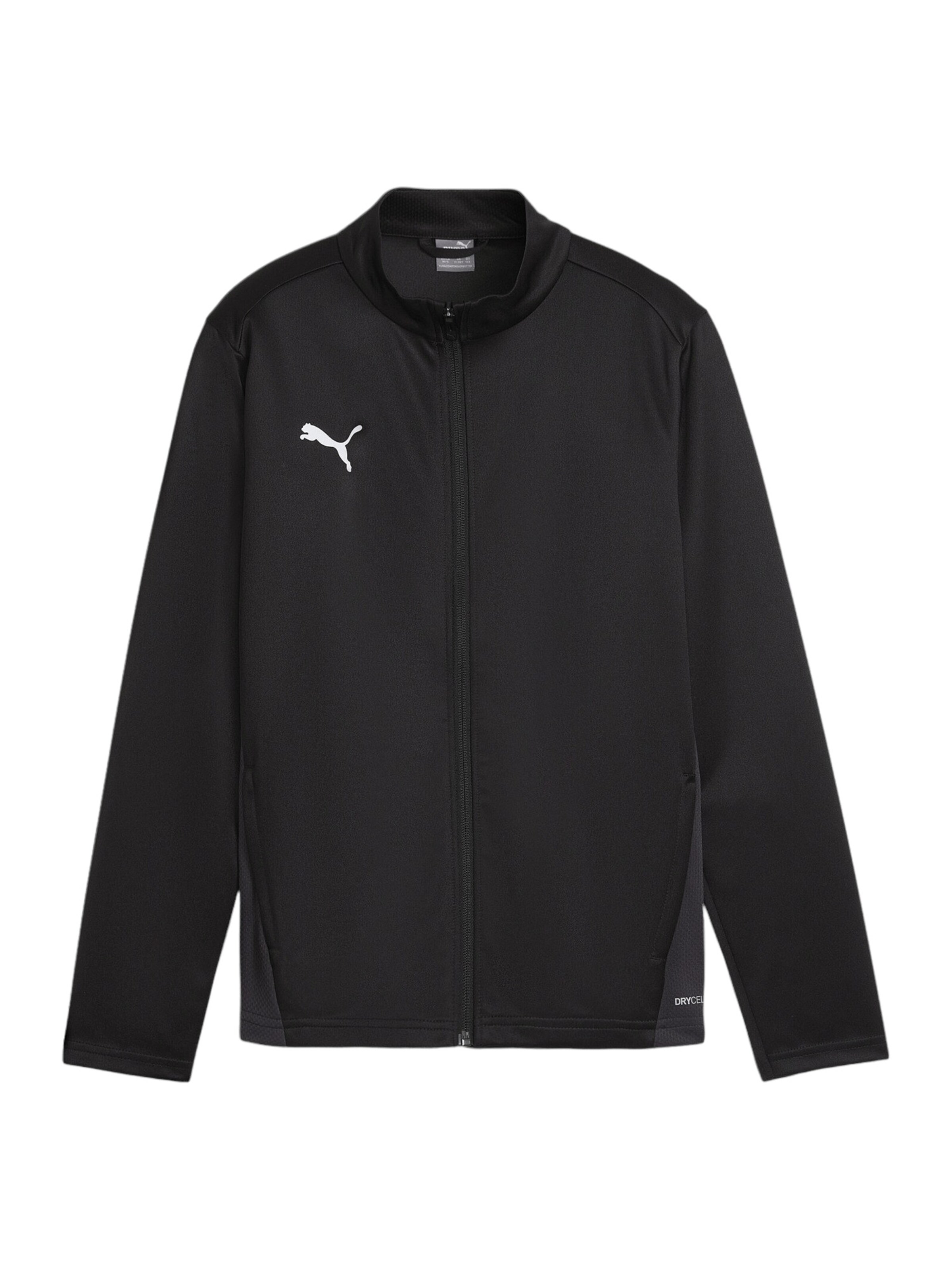 PUMA Trainingsjacke 'Team Goal in Schwarz: Vorderseite