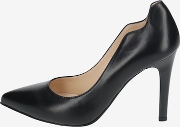 Nero Giardini Pumps in Schwarz