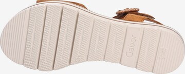 GABOR Sandals in Brown