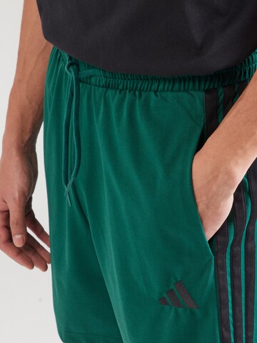 ADIDAS SPORTSWEAR Обычный Спортивные штаны в Зеленый