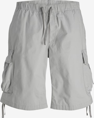 JACK & JONES Shorts 'ZAYN' in Grau: predná strana